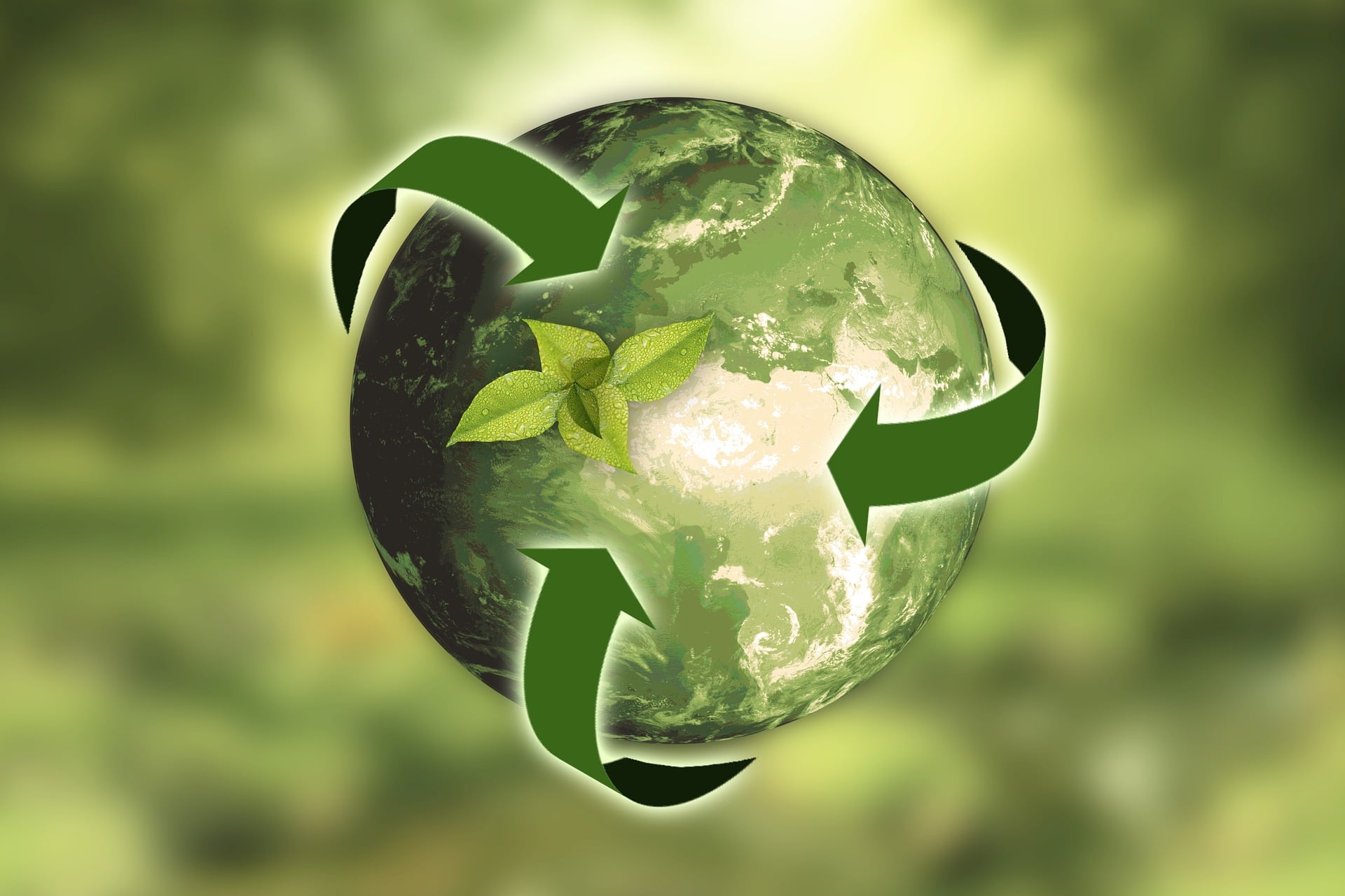 Green Cleaning Initiatives