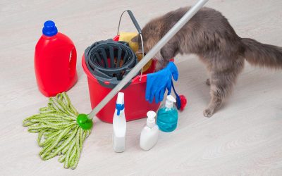 How to Prepare for a Home Cleaning