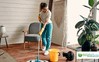Do Nashville Maid Services Provide Supplies?